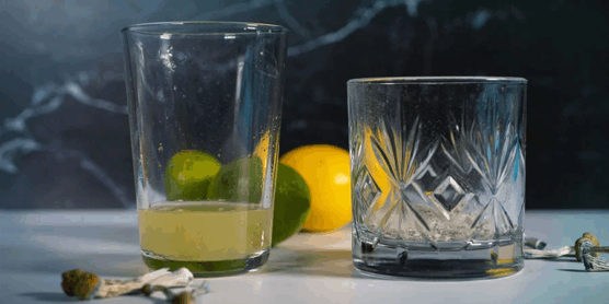 Lemon Tekking: O Truque Natural Para Uma Viagem Mais Forte, Rápida e Sem Enjoo